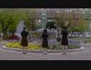 【ネコ珠りり】恋愛裁判【踊ってみた】