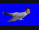 托レ！野鳥先輩素材集BB