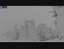 1/30　雪ん子ささら蔵王に行く２