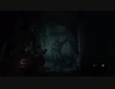 [実況]”新たに作り出された悪夢”BIOHAZARD RE2 part6