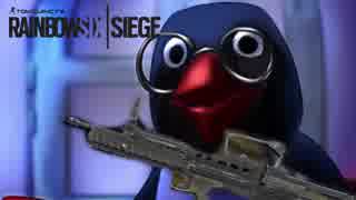 77歳のガバエイムシージ