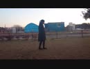 【MeseMoa.】庭の樹 踊ってみた【練習風景】