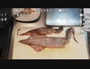 布団ちゃん『恵方巻、下処理配信』1枠目【2019/02/02】