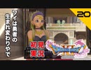 初見実況ドラゴンクエスト11 Part20～ボウ！それは漢のガン！！～