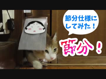 ねこと節分。猫用扉を節分仕様にしてみた。
