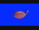 指を指すパップラドンカルメBB.cocoalion