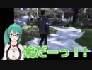神楽すず「鳩だーーっ！」