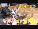 ねこと節分をしたらケルベロスを召喚してしまった。