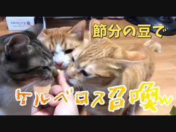 ねこと節分をしたらケルベロスを召喚してしまった。