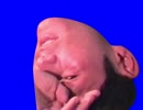 邪気眼を使うNKTIDKSGBB+寝てるNKTIDKSG.MPX