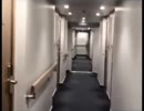 THE SHINE