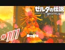 新作ゼルダを風タクしかやったことないうp主がプレイしてしまった part111