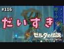 【実況】ゼルダ童貞による ゼルダの伝説BotW（ブレスオブザワイルド）Part116