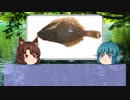 【ゆっくり解説】ゆっくりわかさぎ姫が教える魚　#6匹目　~鮃~