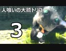 【実況】人喰いの大鷲トリコで紡ぐ絆【３】