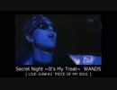 Secret Night ~It's My Treat~　WANDS 【 LIVE-JUNK#2 】