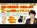 カルロス・ゴーンを見捨てたフランス。お役所仕事の限界と命（増刊号）#351