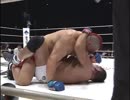 PRIDE無差別級GP2006　藤田和之VSジェームストンプソン