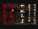 【実況】新約・加速するスカイリムの旅 Page396