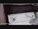 Bed bug management / bed bug control