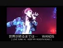 世界が終るまでは・・・　WANDS 【 LIVE-JUNK#1 】
