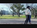 【りりぽめ】えれくとりっく・えんじぇぅ【踊ってみた】【再投稿】