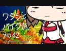 2017年 ワタシのバイク旅 vol.42