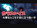 【きょうのデッバイ#194】カラスレイス　カラス全然いないステージあるね【毎日投稿】