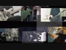 【弾いてみた】乙女解剖【合わせてみた】