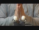 【ASMR】繭玉で鼓膜にゴリゴリを伝える耳かき / DR-40【音フェチ】