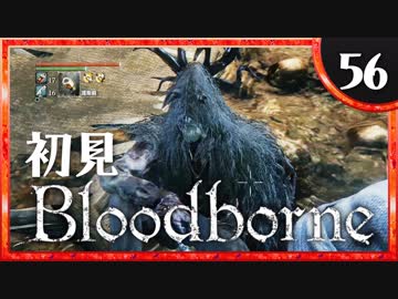 卍【実況】今日のブラッドボーン_56