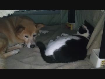 う、動いてる