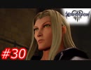 【泣かずにプレイ】キングダムハーツ３　Part30