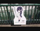 ふるるの日常【フンボルトペンギン】