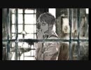 【１周年記念に】about me 歌ってみた【雪蛍】