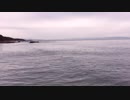test 動かしてみた