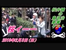 2すまたん、桜井誠の鬼退治、豪華ゲスト、シバキ隊、有田芳生、香山リカ。菜々子の独り言　2019年2月4日(月）