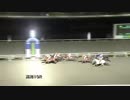 2019年2月3日高知競馬10R 節分特別(C2-1組) トーアアステリオス