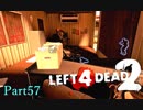 あぶない！ゾーイ！【L4D2】part57