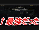 SDMが最強だった時代のブラックアウトで無双してみた【CoD:BO4】