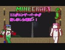 【11】凸凹姉妹のマインクラフト【姉とPiiiitcrew】