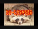 【あゝ愛すべき板橋】板橋あるある【最愛KOH＋cv.#３】
