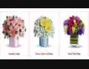 Same Day Send Flowers in Raleigh, NC | 919-336-0402