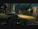 【COD BO4】装備頼りの対人戦サブ4【ドミ】
