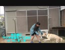 休日感満載でラジオ体操第一
