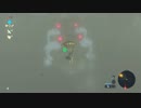 ヴァ・ルッタを１ターンキルしてみた