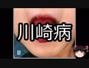 【ゆっくり朗読】ゆっくりさんと不思議な病気 その29