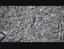 三十路手前のお兄さんが絶体絶命するゾ【絶体絶命都市４plus】２６絶命目