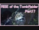 信じられるのは己の知識と肉体のみ…【RISE of the TombRaider実況 Part17