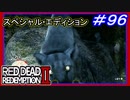 【【クーガーを双眼鏡でやりすごす】】#96 RED DEAD REDEMPTION 2：スペシャルエディション【ナイトフォークと戦闘、荒野の爆発する家】